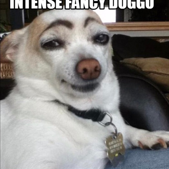 Meet your Posher, John - Picture 1 of 1